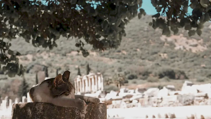What is Another Name for Ephesus?