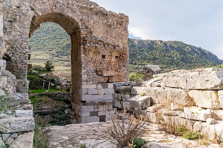 Exploring the Temples of Ephesus: Sacred Sites and Stories