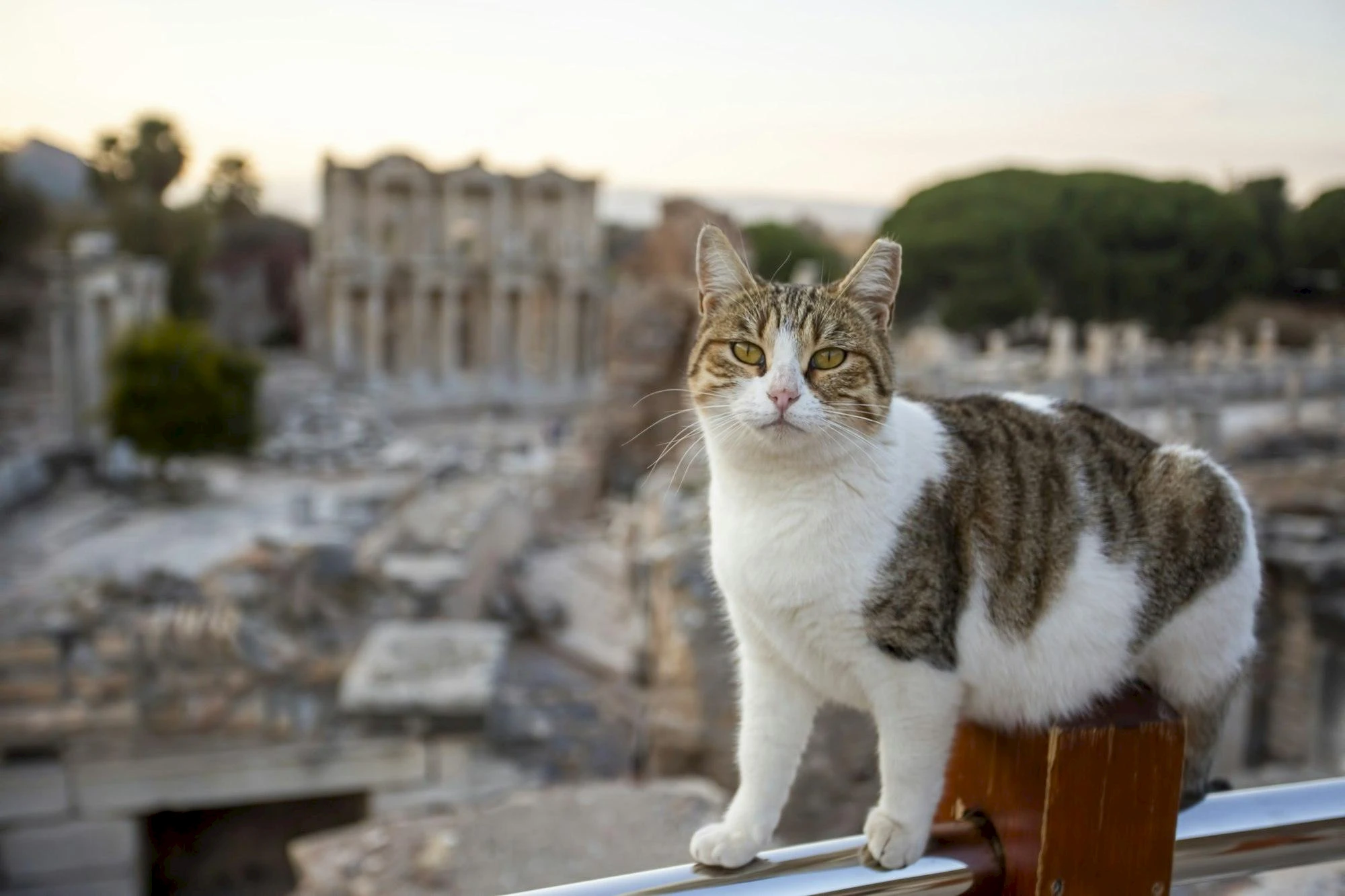 Het Concilie van Efeze: Belangrijke Beslissingen en Impact op het Christendom