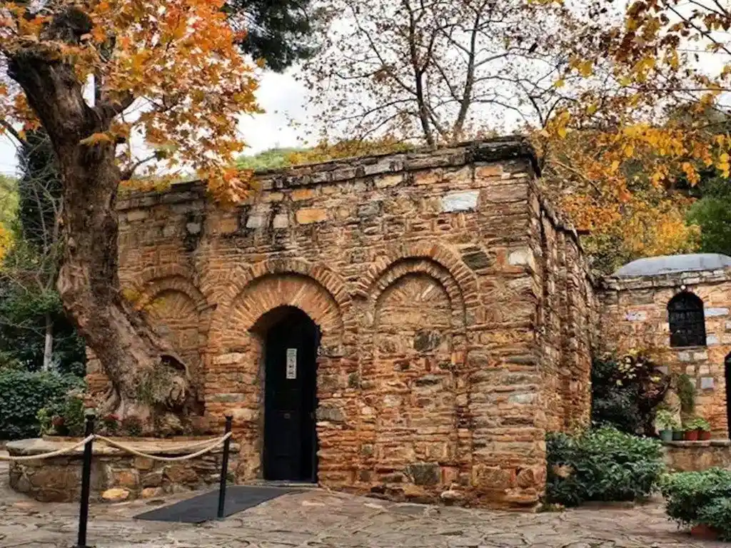 What are the best shore excursions?