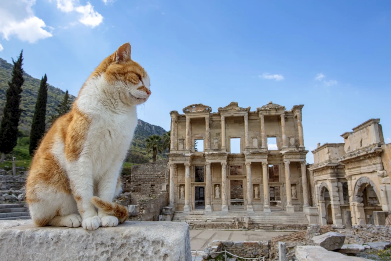 Efeze als Culturele Smeltkroes: Het Kruispunt van Oost en West