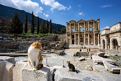 Efes&rsquo;in Gizli Hazinelerini Keşfetmek