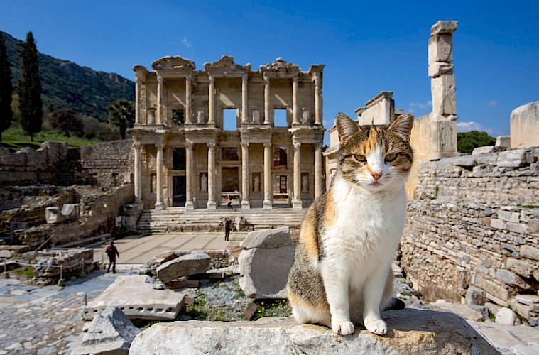 ¿Cuáles son 3 hechos sobre la ciudad de Éfeso?