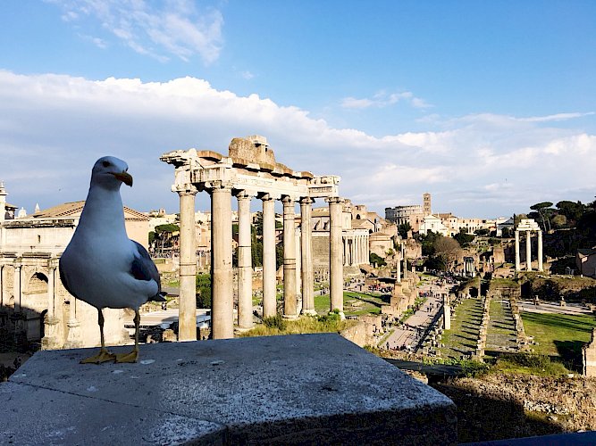 Ephesus Travel Tips: How to Plan Your Perfect Visit