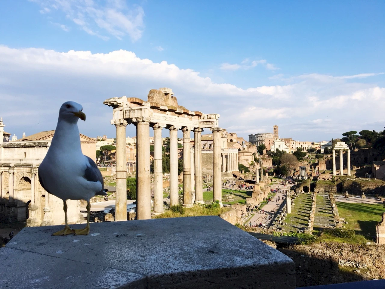 Ephesus Travel Tips: How to Plan Your Perfect Visit