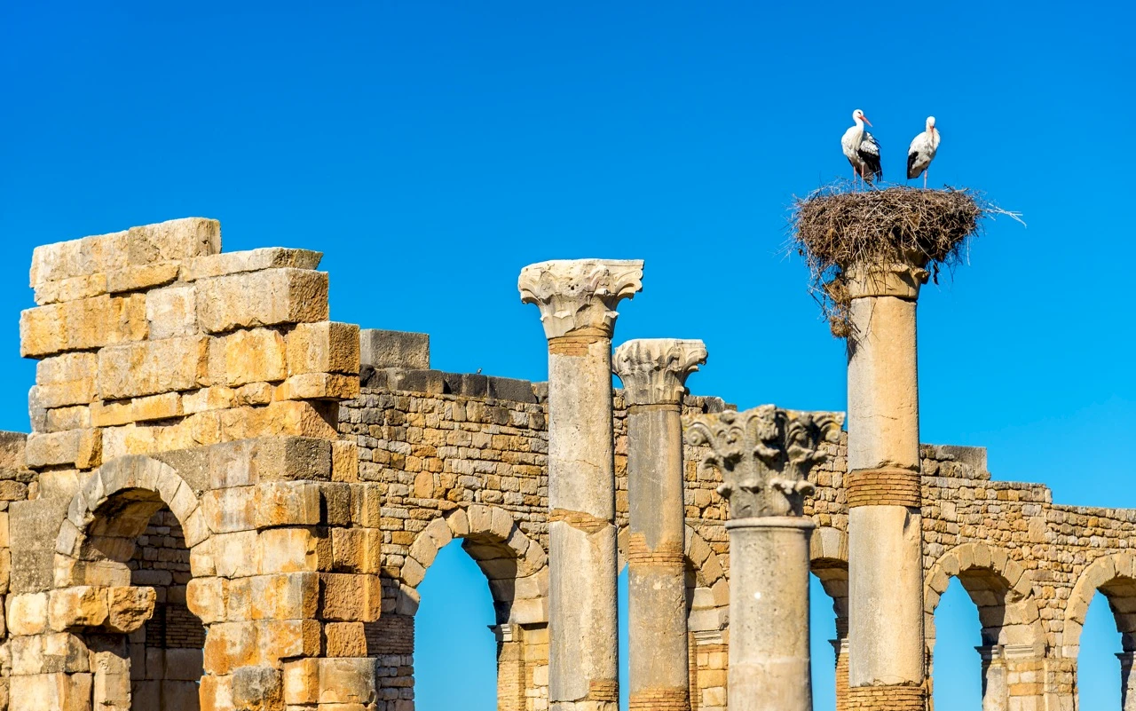 Is Ephesus Worth Visiting? Top Reasons to Explore the Ruins